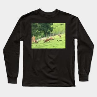 Deer and Crows on a Mountain Long Sleeve T-Shirt